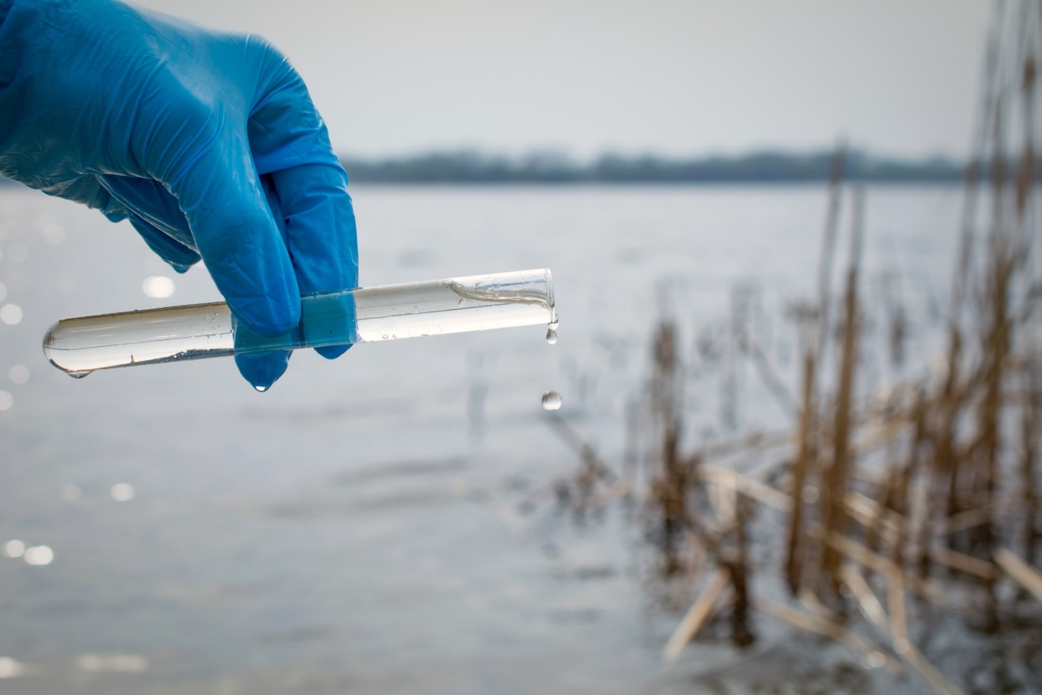 Importance Of Water Quality And Testing