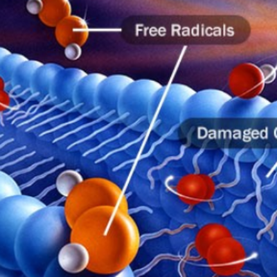 Free Radicals in Drinking Water